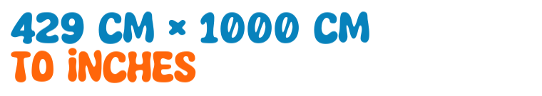 429 cm × 1000 cm to inches