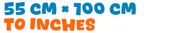 55 cm × 100 cm to inches 55 cm × 100 cm to inches